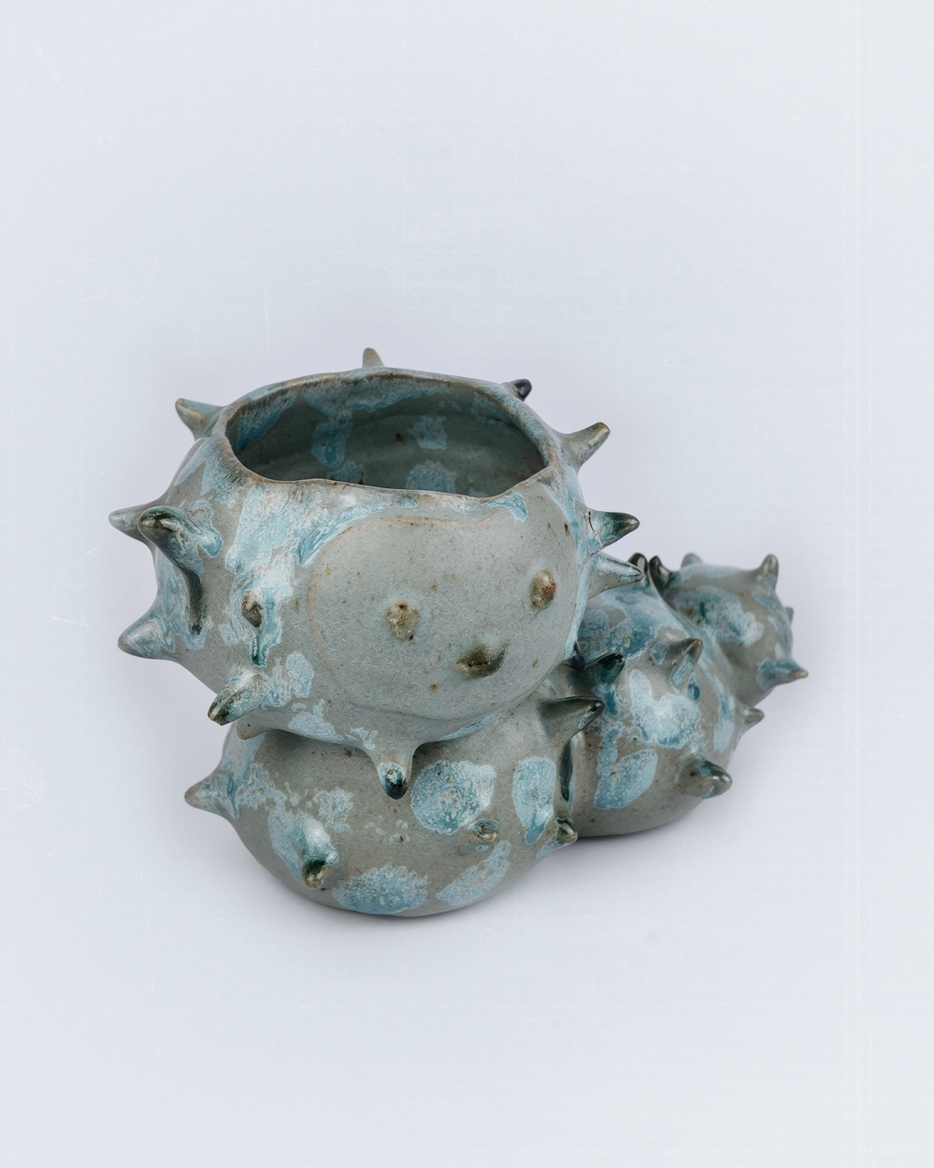 Caterpillar Plant Pot