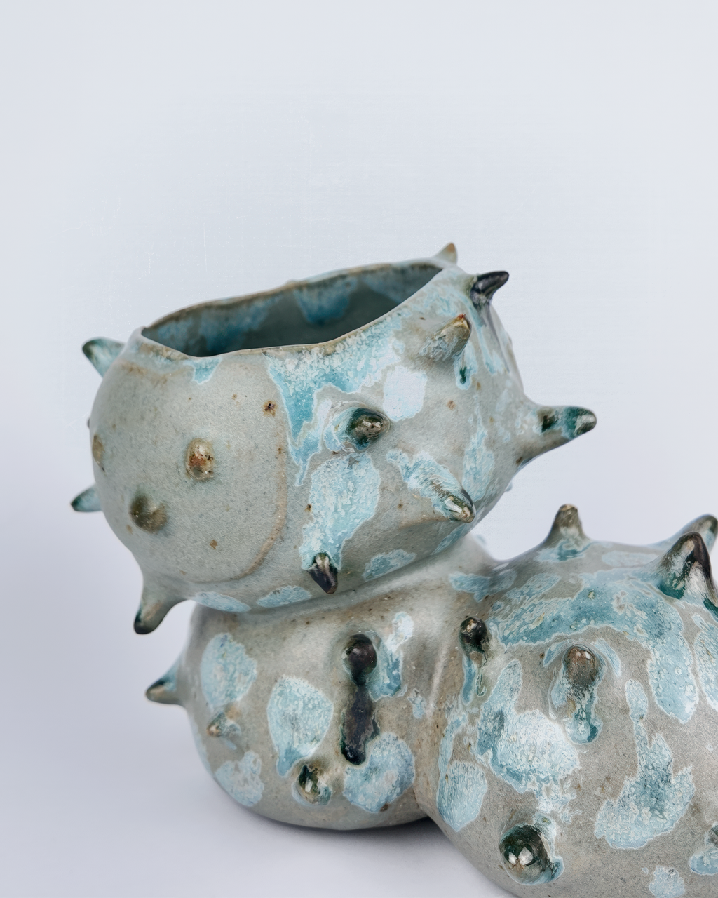 Caterpillar Plant Pot